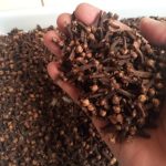 Cengkeh dari Sulawesi Tengah: Kualitas Unggul untuk Dunia